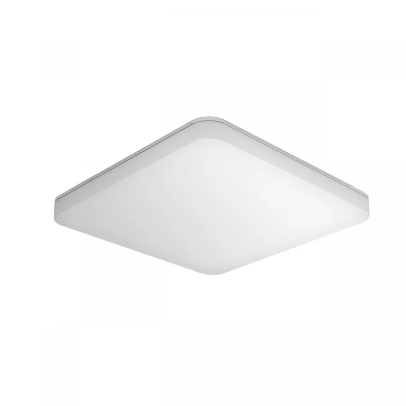 2026_06_08_20821