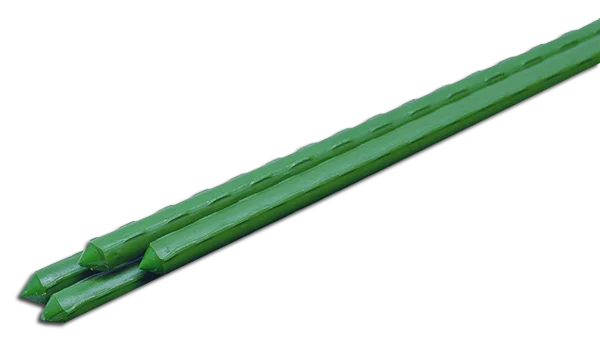 ryvjaobpiox20260606052703280720